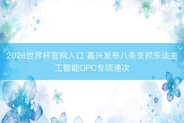 2026世界杯官网入口 嘉兴发布八条支抓东谈主工智能OPC专项递次