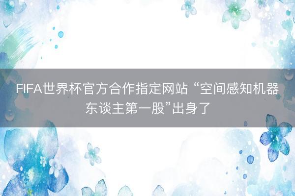 FIFA世界杯官方合作指定网站 “空间感知机器东谈主第一股”出身了