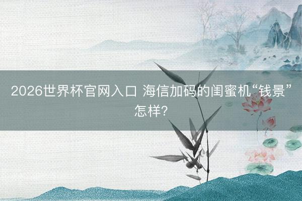 2026世界杯官网入口 海信加码的闺蜜机“钱景”怎样？