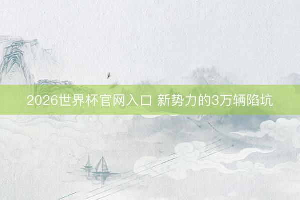 2026世界杯官网入口 新势力的3万辆陷坑