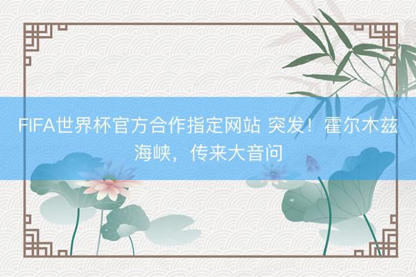 FIFA世界杯官方合作指定网站 突发！霍尔木兹海峡，传来大音问
