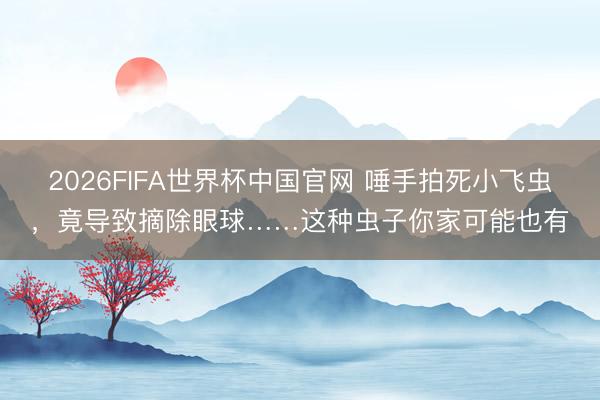 2026FIFA世界杯中国官网 唾手拍死小飞虫，竟导致摘除眼球……这种虫子你家可能也有