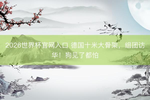2026世界杯官网入口 德国十米大骨架，组团访华！狗见了都怕
