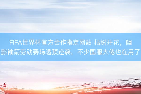 FIFA世界杯官方合作指定网站 枯树开花，幽影袖箭劳动赛场透顶逆袭，不少国服大佬也在用了