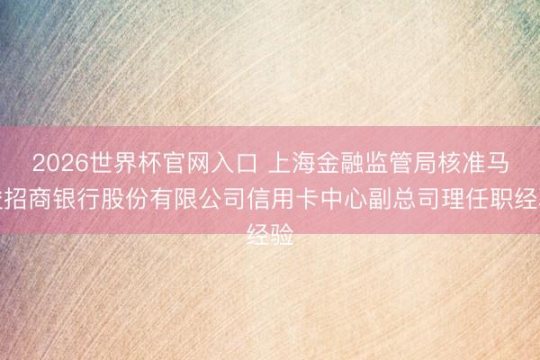 2026世界杯官网入口 上海金融监管局核准马俊招商银行股份有限公司信用卡中心副总司理任职经验