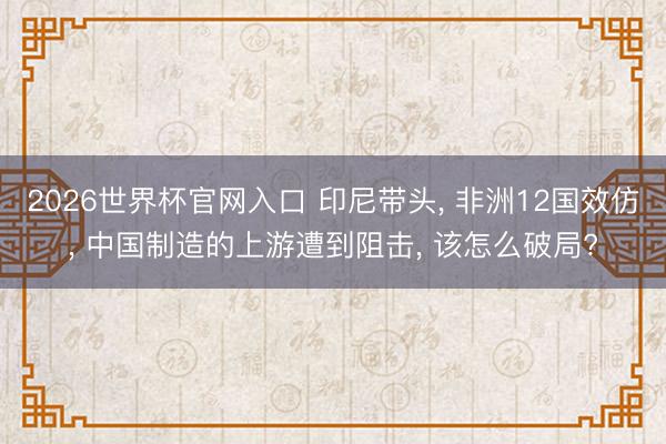 2026世界杯官网入口 印尼带头， 非洲12国效仿， 中国制造的上游遭到阻击， 该怎么破局?